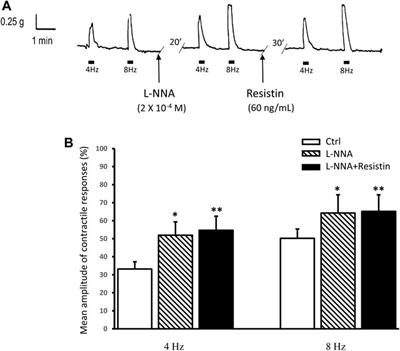 Evidence that resistin acts on the mechanical responses of the mouse gastric fundus